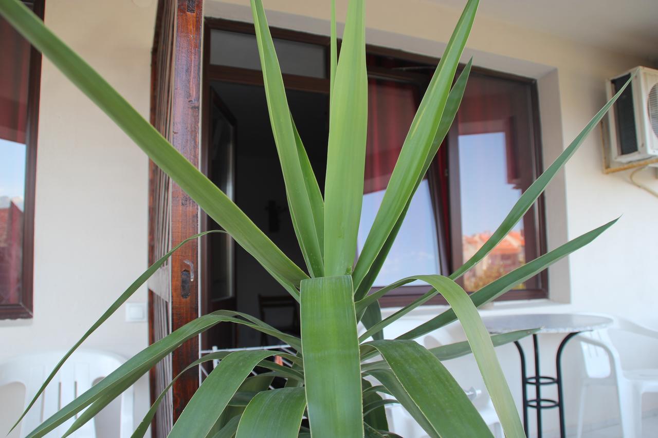 Yankov'S House Hotel Sozopol Exterior photo